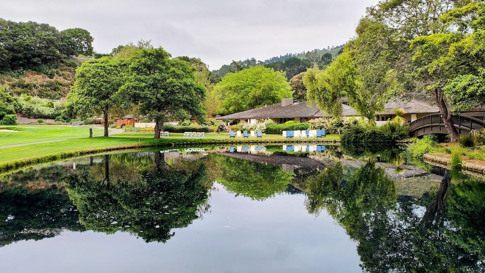Outdoor pool area with sun loungers at The Quail